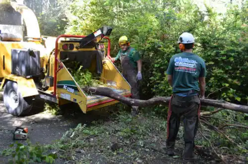 tree services Bayou La Batre